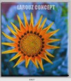 /album/photo-gallery-canvas-uri/decoratiuni-de-perete-canvas-lc-0907-jpg/